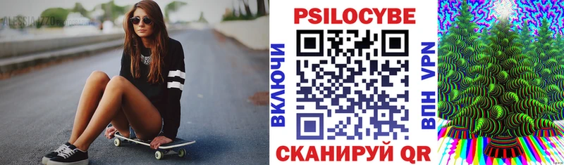 Псилоцибиновые грибы Psilocybe где купить наркотик Козельск